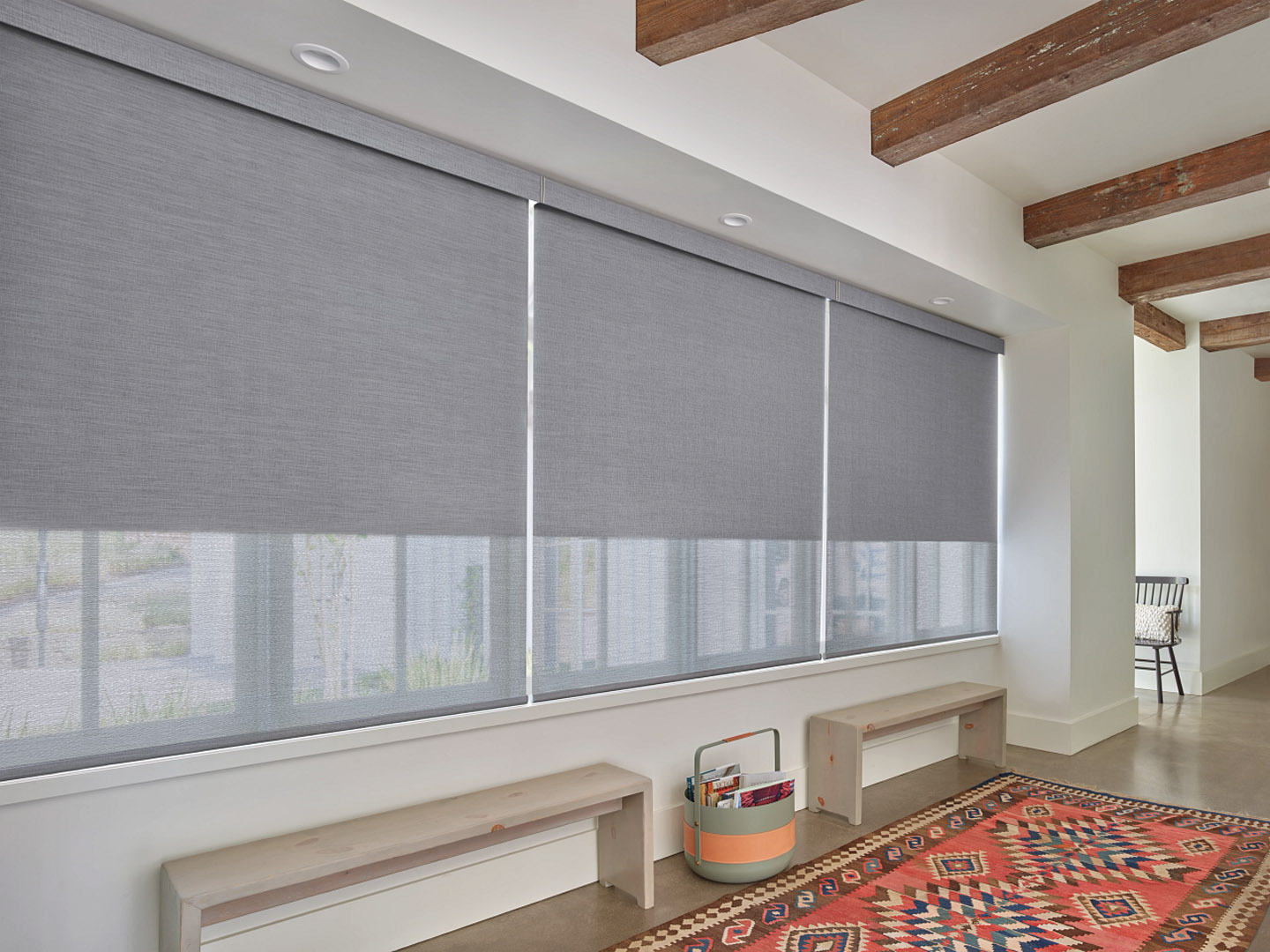 Roller Shades For Windows